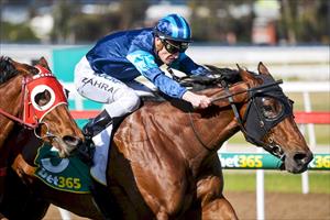 Moonlover winning the Shojun Concrete Stks @ Gelong 24 Oct 2018